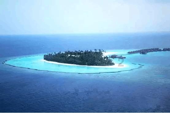 浙江省作家协会副主席沈苇：对浙江文学有何期待