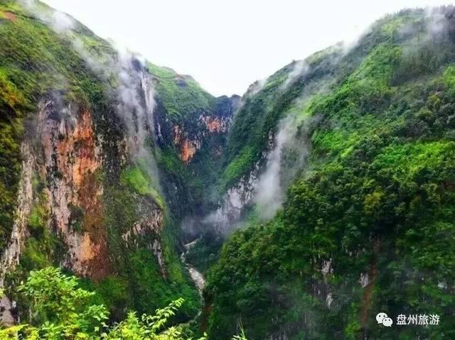 潮粮跌破8毛! 玉米收购陆续增加!